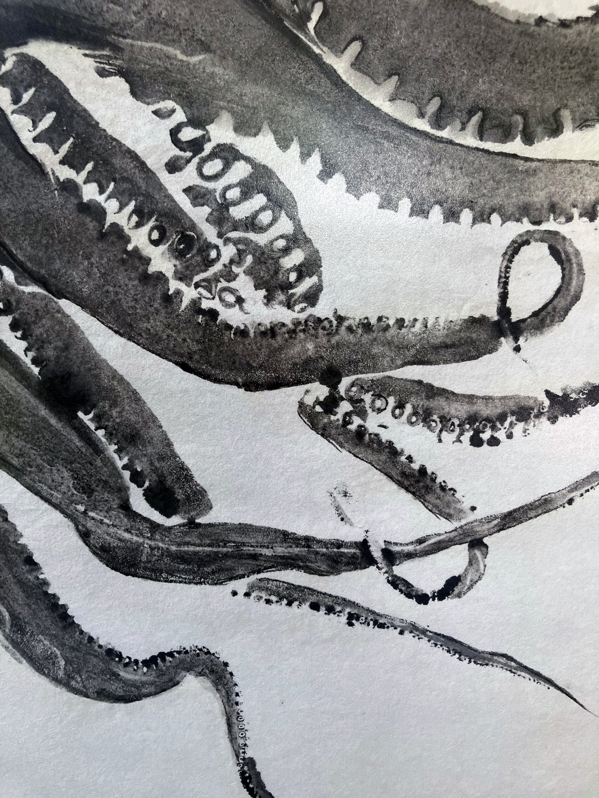 Pulpo and the tide