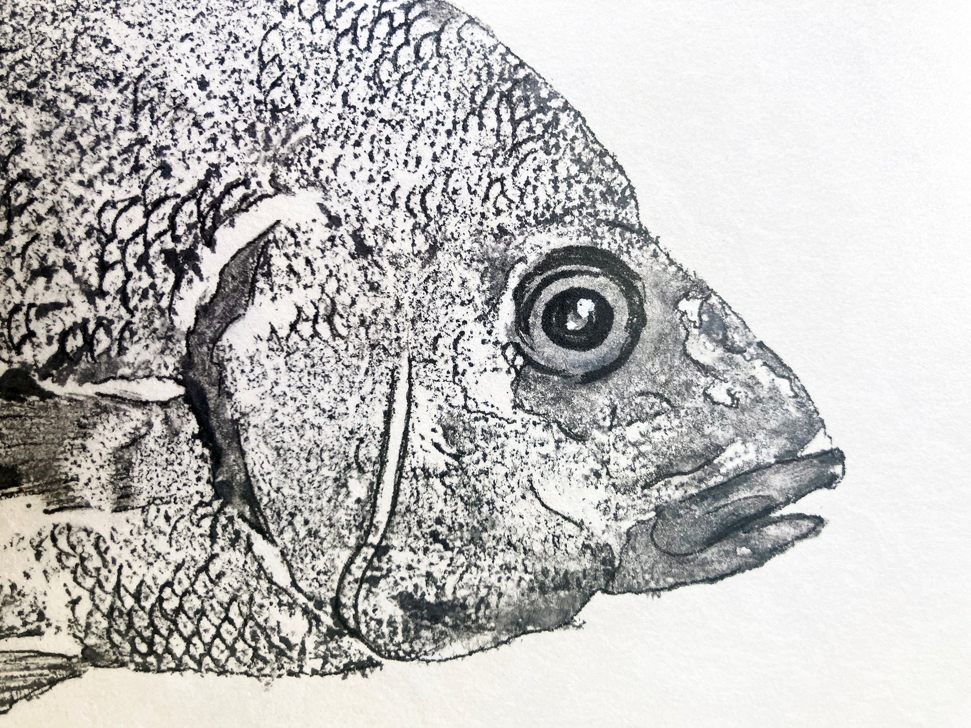 One perch